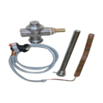 40-500kW Temperature safety relief valve